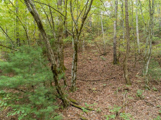 0 Calloway Cove Road, Hiawassee, GA 30546