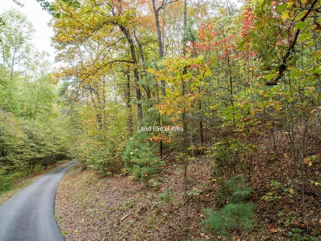 0 Calloway Cove Road, Hiawassee, GA 30546