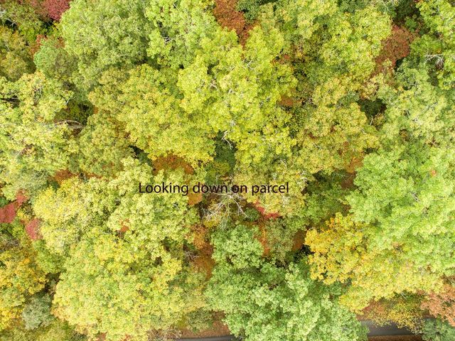 0 Calloway Cove Road, Hiawassee, GA 30546