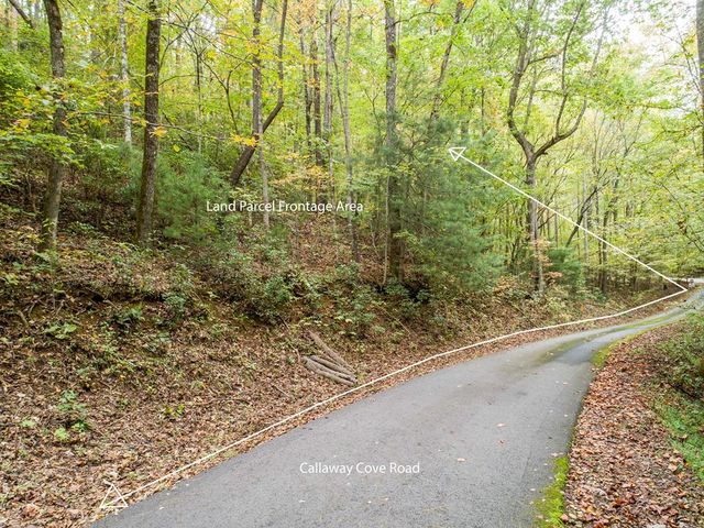 0 Calloway Cove Road, Hiawassee, GA 30546