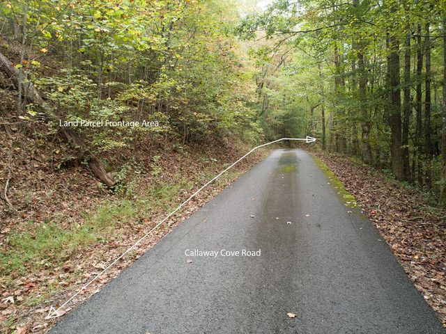 0 Calloway Cove Road, Hiawassee, GA 30546