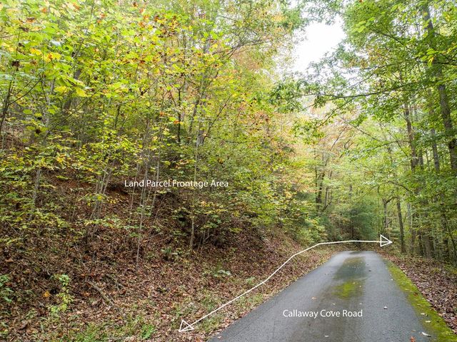0 Calloway Cove Road, Hiawassee, GA 30546
