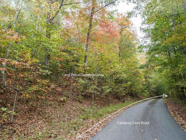 0 Calloway Cove Road, Hiawassee, GA 30546