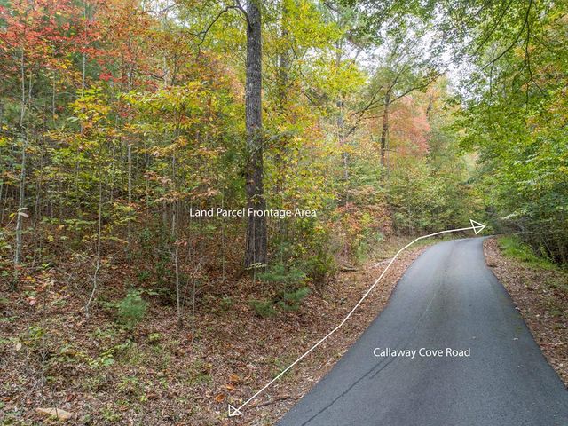 0 Calloway Cove Road, Hiawassee, GA 30546