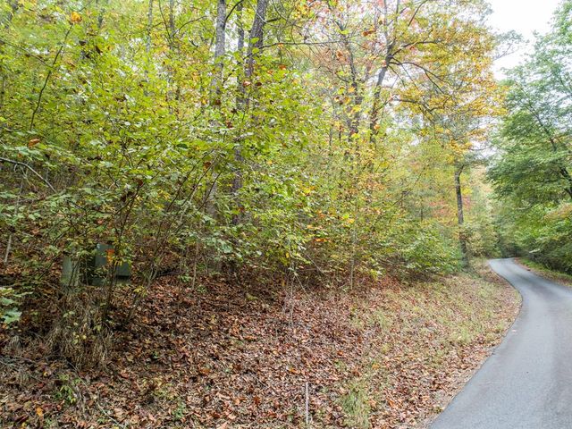 0 Calloway Cove Road, Hiawassee, GA 30546