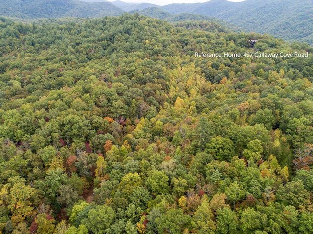 0 Calloway Cove Road, Hiawassee, GA 30546
