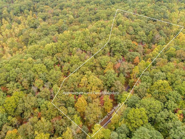 0 Calloway Cove Road, Hiawassee, GA 30546