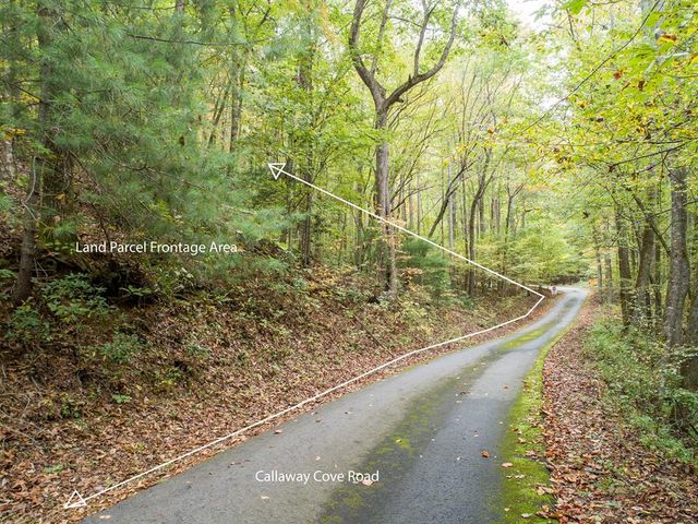 0 Calloway Cove Road, Hiawassee, GA 30546