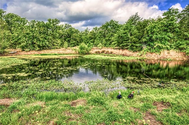 11532 County Road 408, Caldwell, TX 77836