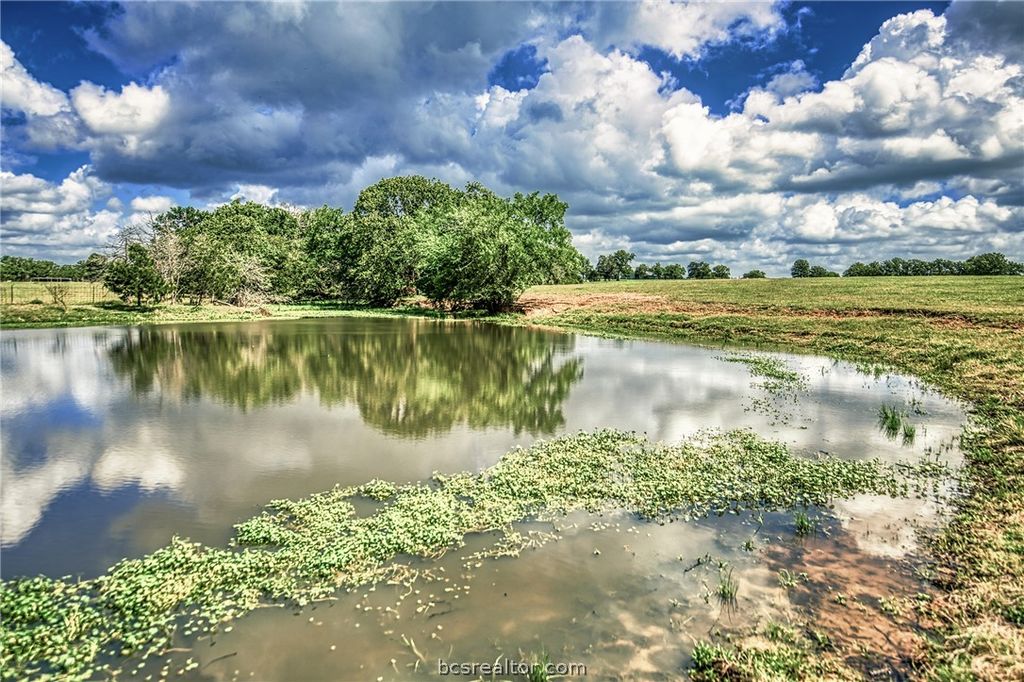11532 County Road 408, Caldwell, TX 77836 — photo 5
