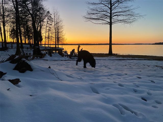 1219 County Road 2415, Leesburg, TX 75451