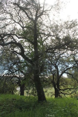 0 Tenaja Road, Murrieta, CA 92562