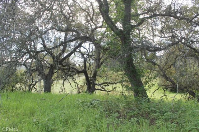 0 Tenaja Road, Murrieta, CA 92562