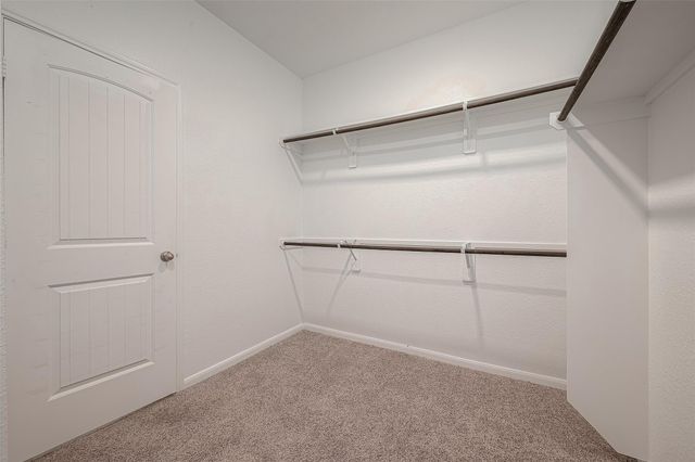 21634 Lemon Beebrush Lane, Katy, TX 77449