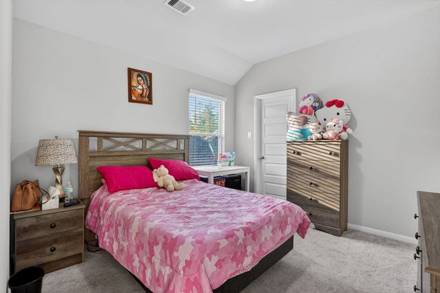 203 Terrain View Ct, Willis, TX 77318