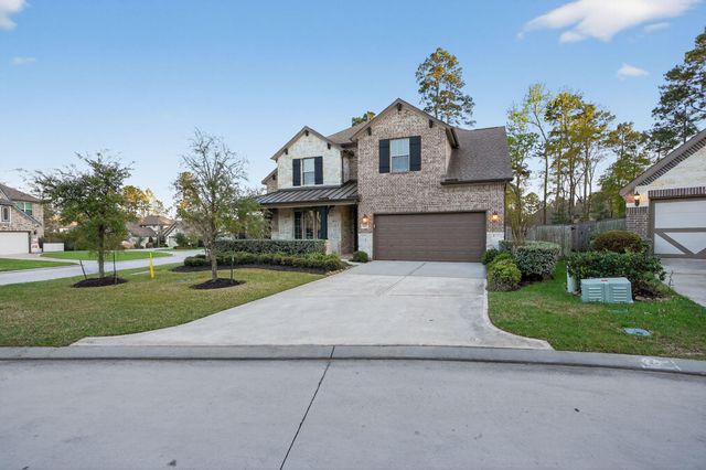 203 Terrain View Ct, Willis, TX 77318