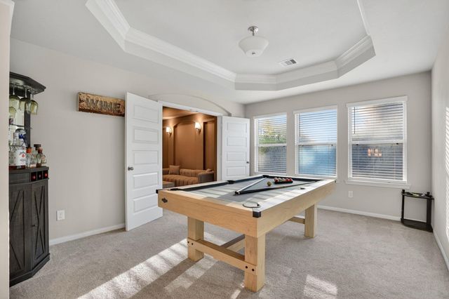 203 Terrain View Ct, Willis, TX 77318