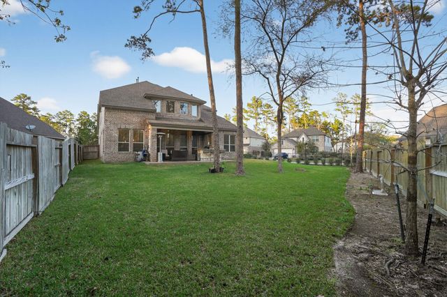 203 Terrain View Ct, Willis, TX 77318
