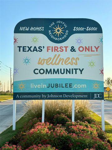 16530 Blissful Fields Street, Hockley, TX 77447