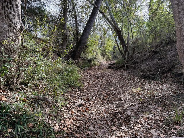 1399 Star Hill Road, New Ulm, TX 78950