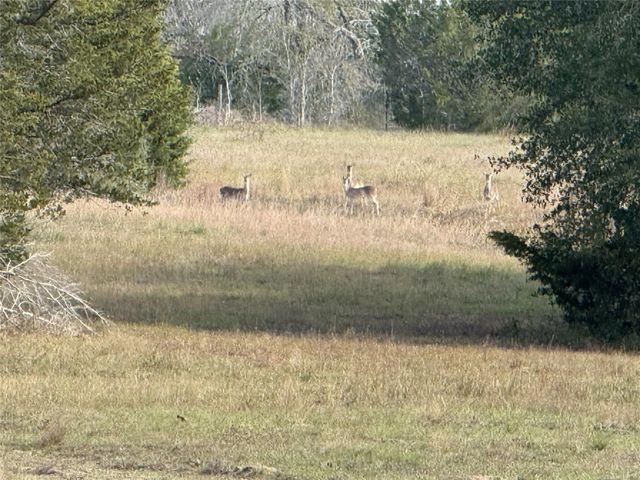 1399 Star Hill Road, New Ulm, TX 78950