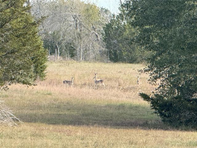 1399 Star Hill Road, New Ulm, TX 78950