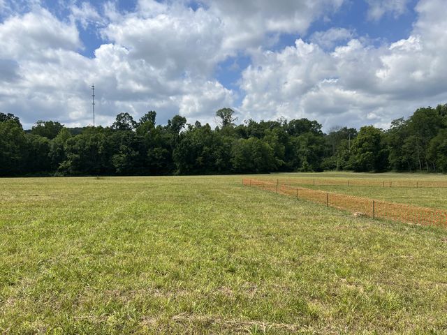 3011 Blythe Meadow Ln, Arrington, TN 37014