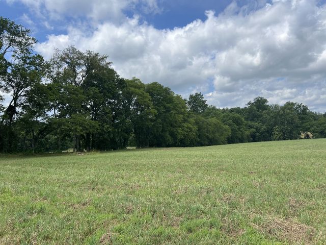 3011 Blythe Meadow Ln, Arrington, TN 37014