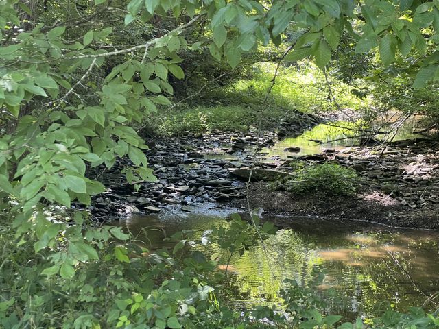 3011 Blythe Meadow Ln, Arrington, TN 37014