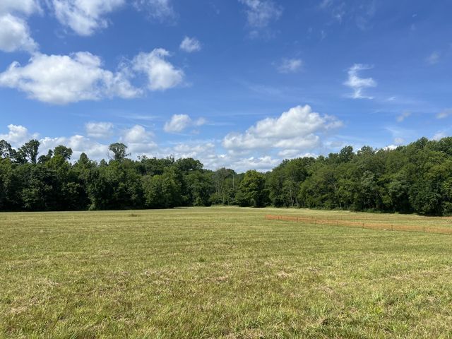 3011 Blythe Meadow Ln, Arrington, TN 37014