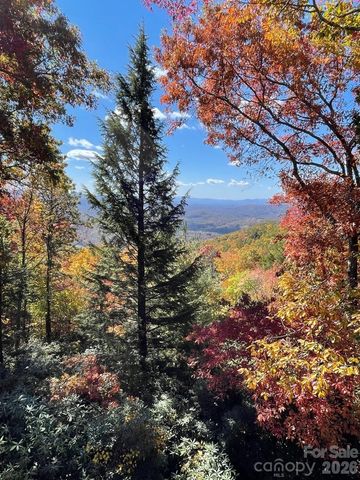 425 Flat Top Mountain Road, Fairview, NC 28730