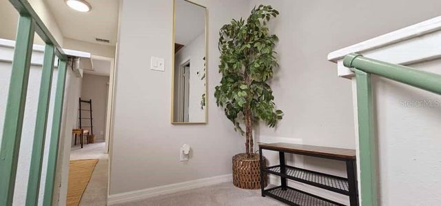 10213 N OJUS DRIVE, Tampa, FL 33617