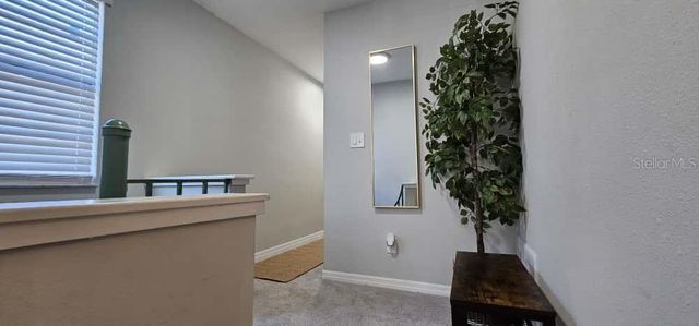 10213 N OJUS DRIVE, Tampa, FL 33617