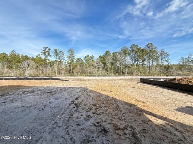 1091 Hanson Drive, Leland, NC 28451