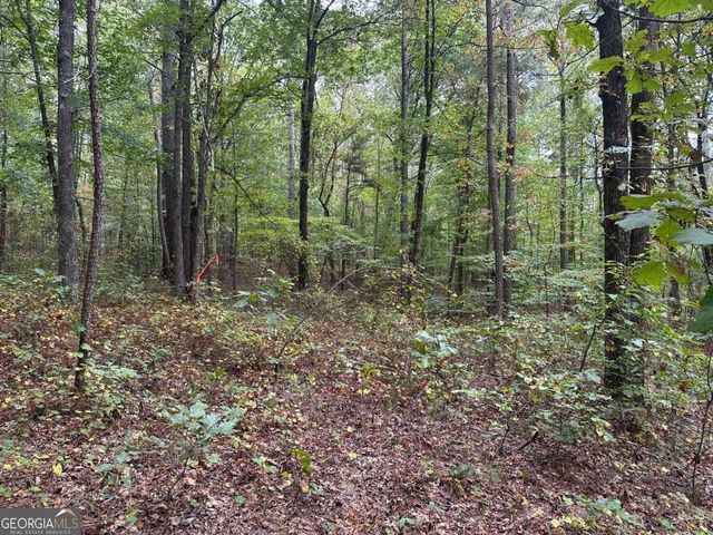 3842 Salacoa-Tract A, Waleska, GA 30183
