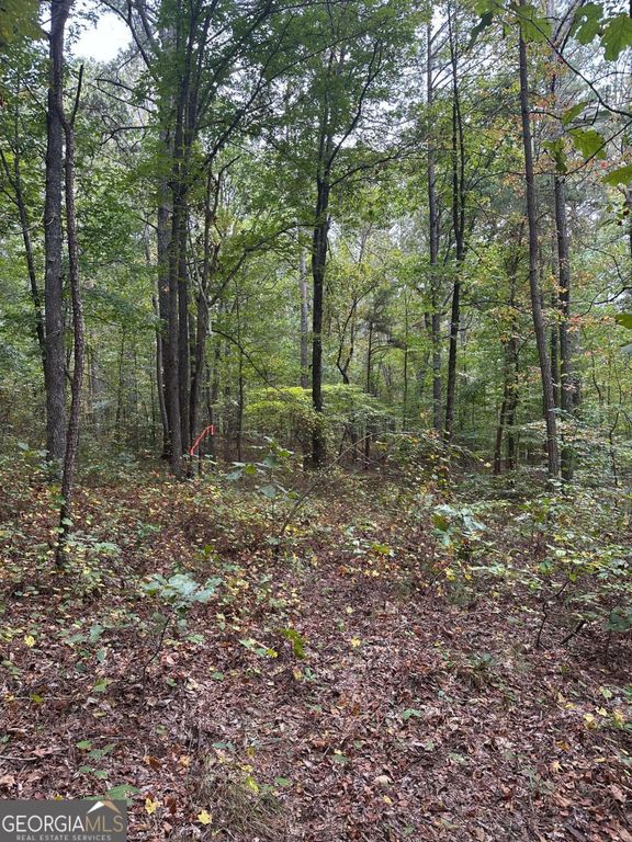 3842 Salacoa-Tract A, Waleska, GA 30183