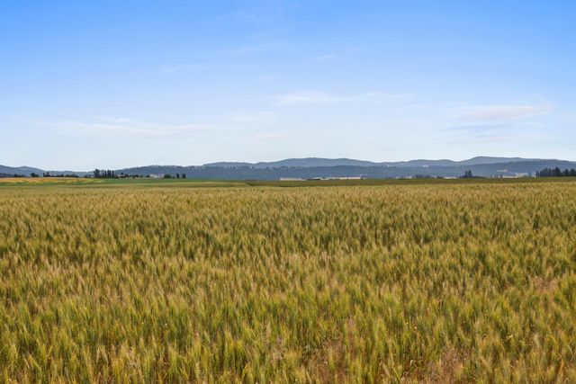 NKA N Bruce Rd, Spokane, WA 99021