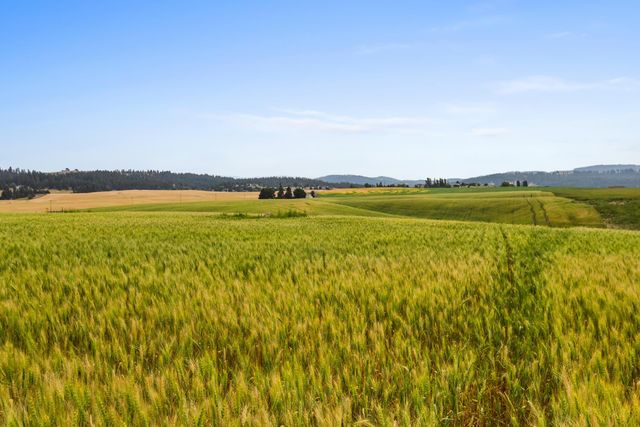 NKA N Bruce Rd, Spokane, WA 99021