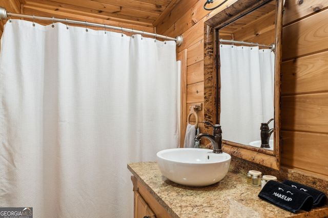 287 Necowa Cove Overlook, Blue Ridge, GA 30513