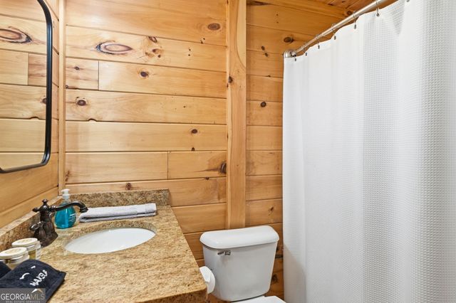 287 Necowa Cove Overlook, Blue Ridge, GA 30513