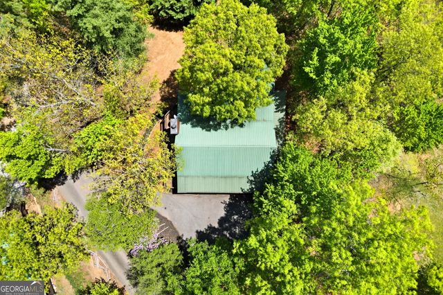 287 Necowa Cove Overlook, Blue Ridge, GA 30513