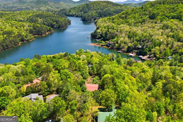 287 Necowa Cove Overlook, Blue Ridge, GA 30513
