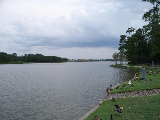 6 W Prairie Dawn Circle, The Woodlands, TX 77385
