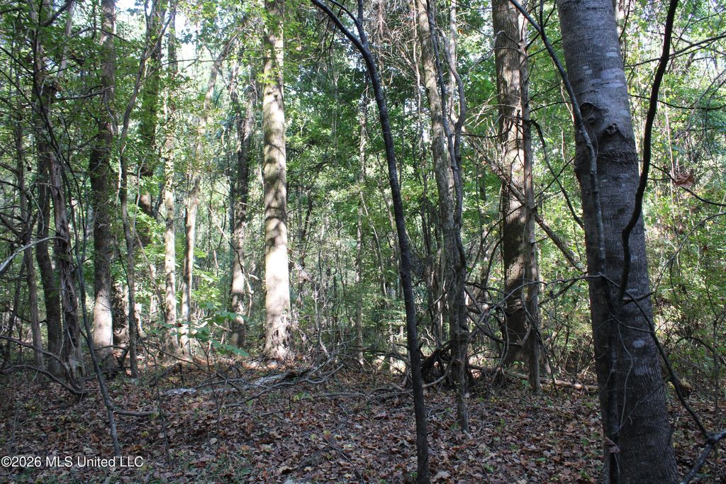 14 Star Landing Road, Nesbit, MS 38651 — photo 4