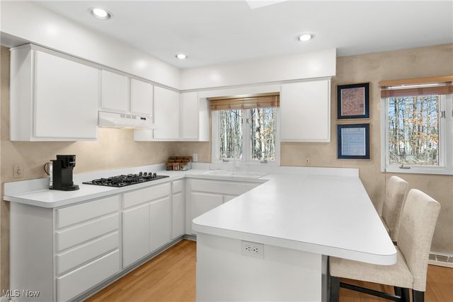 32651 N Burr Oak, Solon, OH 44139