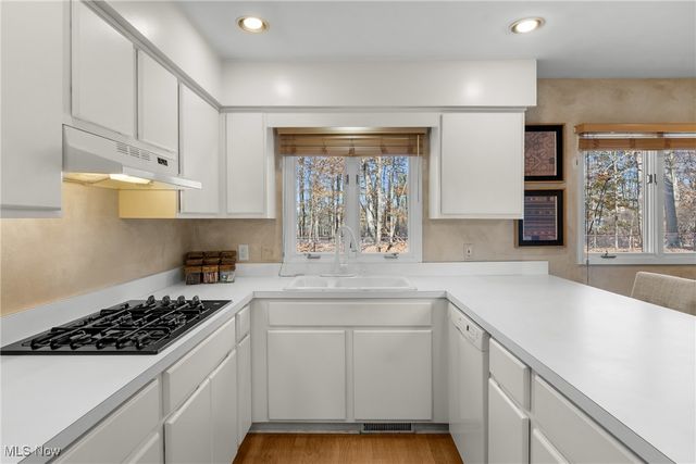 32651 N Burr Oak, Solon, OH 44139