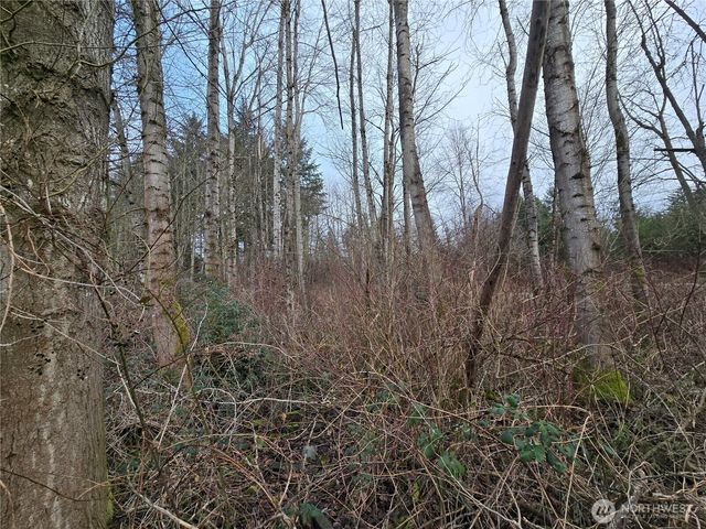 137 XX SE 202nd Place, Kent, WA 98042