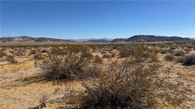 0 Bodick, Johnson Valley, CA 92285