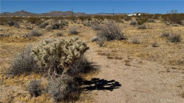 0 Bodick, Johnson Valley, CA 92285