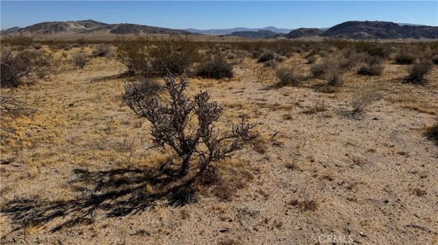 0 Bodick, Johnson Valley, CA 92285